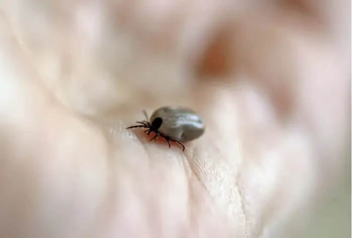 Фото: pxhere.com