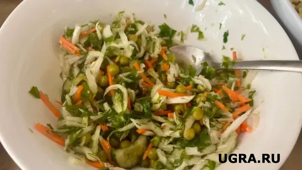 Если нет колбасы, курицы, мяса и рыбы: быстрый салат «Чайка» готовим из самых простых ингредиентов, можно даже к праздничному столу