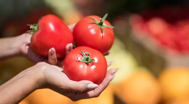 Никакой фитофторы не будет: раннеспелый сорт томата, который вырастет и в Сибири &mdash; семена нарасхват