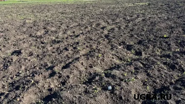 Югра усилит агропотенциал в рамках федеральной программы