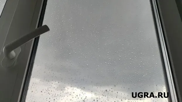 Конденсата на окнах и в морозы не будет: ставим на подоконник чашку и проблемы нет