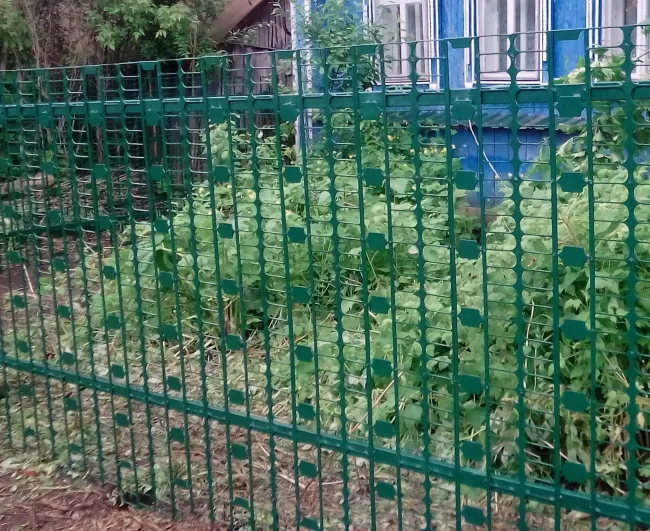 Сделал чудесный забор из сущих отходов &laquo;на века&raquo;: хозяин дома показал, как выглядит ограда спустя 4 года