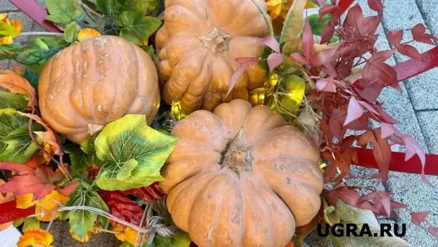 Готовим тыквенный сок &mdash; ароматный и насыщенный витаминами