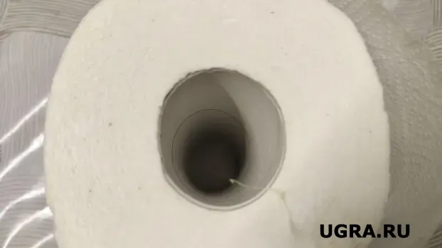 Беру обычную втулку от туалетки и креплю на пылесос: вот зачем я так делаю &mdash; хитрый трюк для качественной уборки