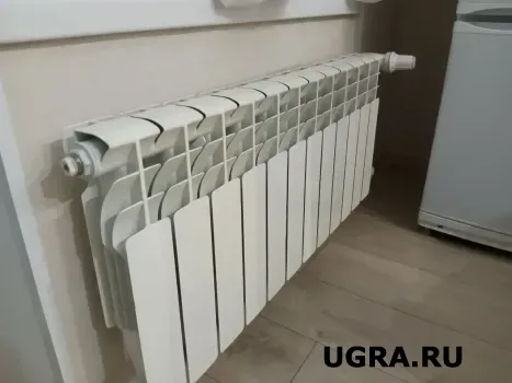 В минус 30 без тепла не оставят: в Госдуме предложили запретить отключать газ и свет за долги