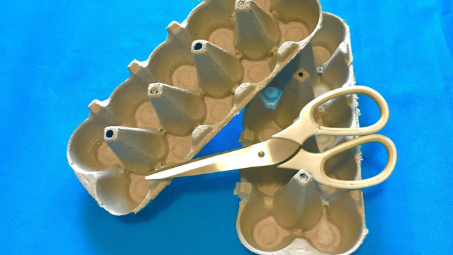 Заядлые цветоводы картонные лотки из-под яиц не выкидывают в помойку: вот для чего они нужны &mdash; для растений бесценны