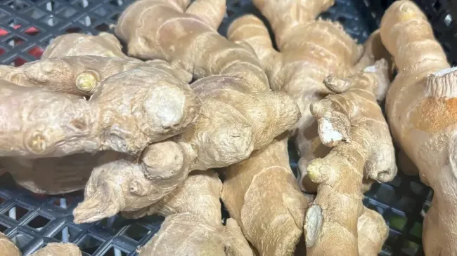 Избавит от головной боли лучше любых лекарств: эта пряность вмиг поможет справиться с проблемой — сплошная польза