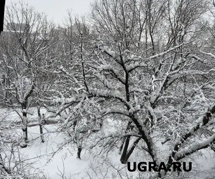 В Югре на выходные прогнозируют тёплую погоду с осадками