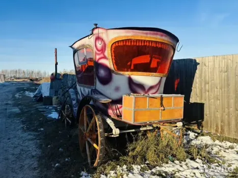 В ХМАО продают велюровую карету за полмиллиона рублей