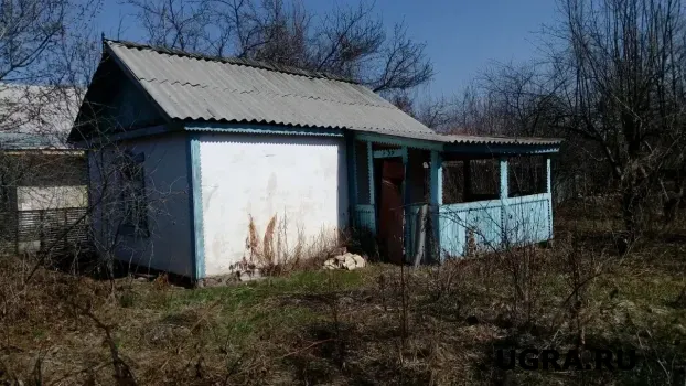 Дача за 100 тысяч рублей: где в Югре можно купить самый дешевый участок