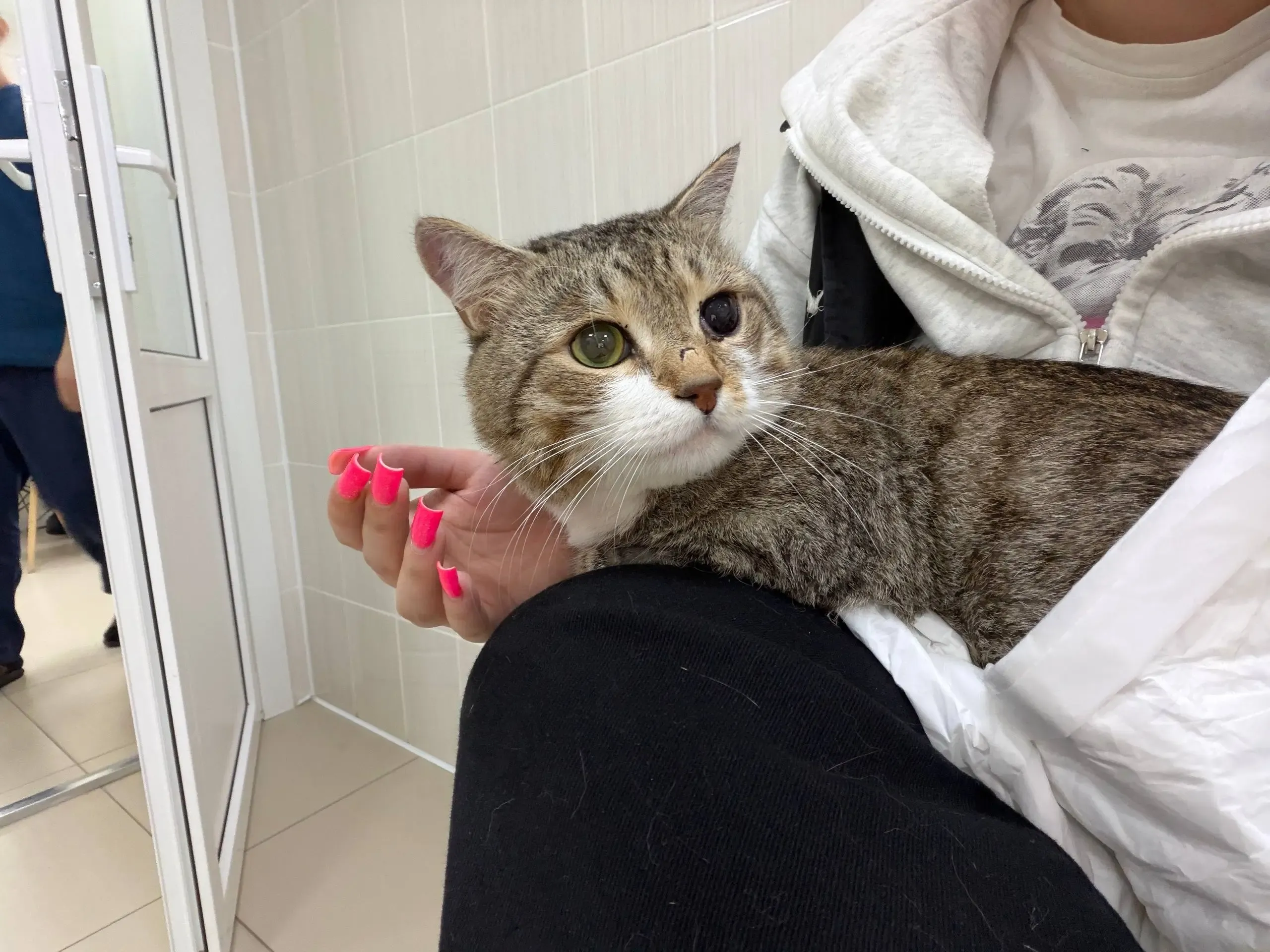 Фото:
АНО "Центр помощи животным" г.Сургут