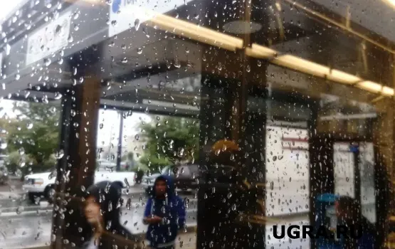 Югру на выходных накроют дожди: воздух прогреется до +18 градусов