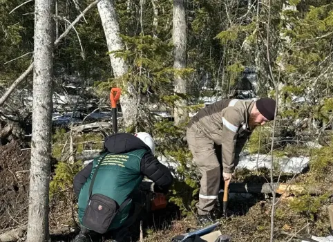 В ХМАО проверили почву после повреждения нефтепровода в Угуте