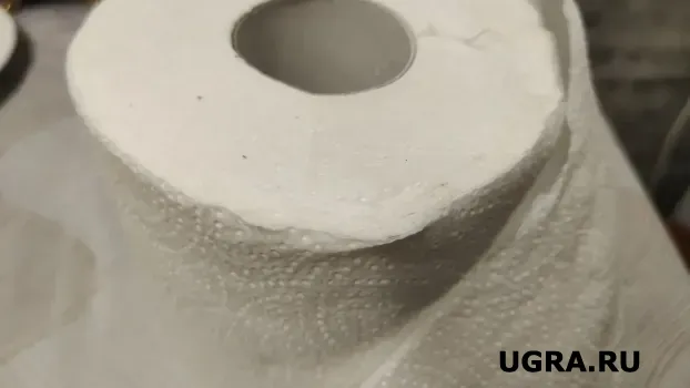 Кладу кусок туалетной бумаги в пакет и не нарадуюсь: результат превосходит все ожидания &mdash; и здоровье в норме