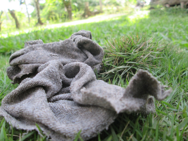 Весной разбросайте старые тряпки по огороду: вот зачем умные дачники так делают &mdash; лучшая защита для вашего урожая