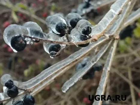 Югру на выходных накроют метель и морозы до -22 градусов