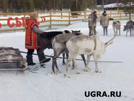 Этнографы рассказали, как менялись верования хантов и манси