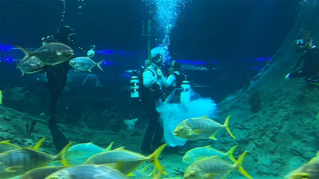 В океанариуме Когалыма устроили свадьбу под водой