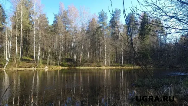В Октябрьском районе Югры нашли тело пропавшего пенсионера
