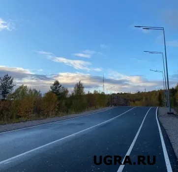В Югре водителей предупредили о риске появления животных на дорогах