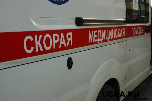 В Нижневартовске прокуратура начала проверку после нападения собаки на ребёнка